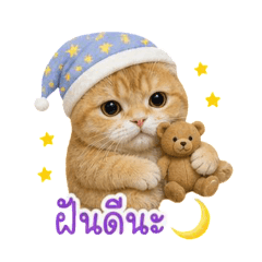 fufu_20260501223405