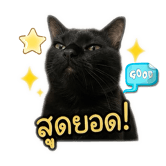 Neng_gaga_20260501223806