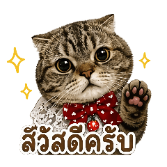 Sukae_20260501223845