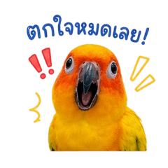 INGING_20260501223639