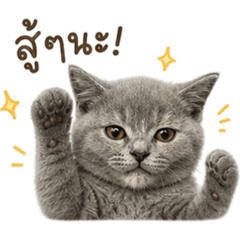Moji stiker