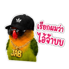 The coolest little bird