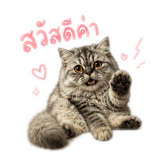 Moji Meoww !!
