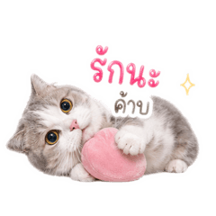 J sun_20260501225536