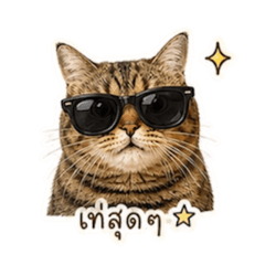 Roger mood