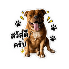 Chalita_20260501225847