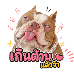 Meyouuu_20260501224839