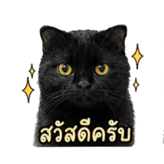 Bbsp_20260501231138