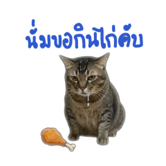 Magnum_20260501231119