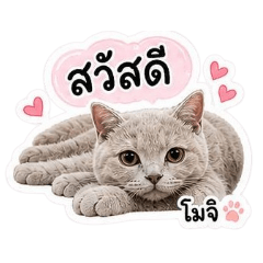 Moji daily mood_20260501231131