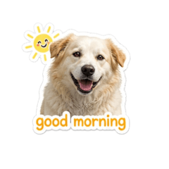 Namon_20260501231403