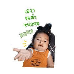 Beer_20260501231834