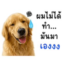 Apicha.eve_20260501231957
