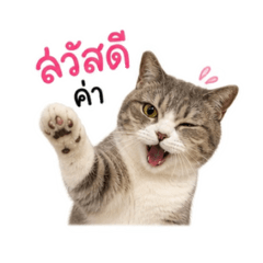 Sasitorn_20260501233157