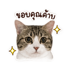 Hanaji_20260501233132