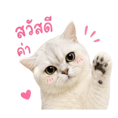 Tigger_20260501232756