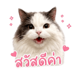 Chirooosun