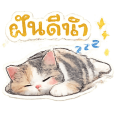 happy_20260501234216