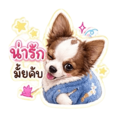 mmylkies_20260501234252