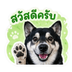 KunchaiA_20260501234605