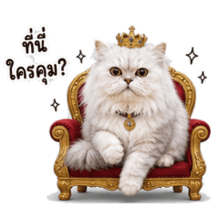 Bameethecat_20260502000128