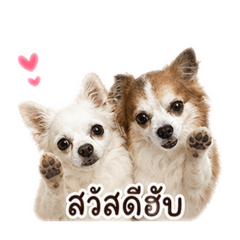 Thiradaa9_20260502000331