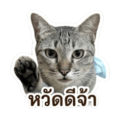 Mint_20260502000340