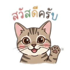 Party funny cat