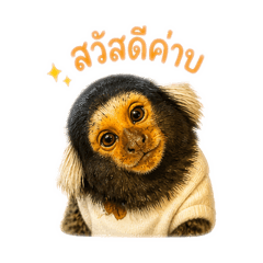 Monkey Aluca
