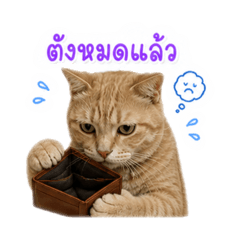 jeny Come on_20260502002543