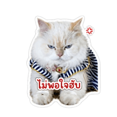 bowwiiz-1