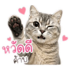 Shi-O