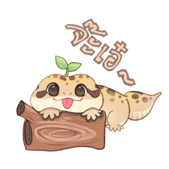 Fattailed Gecko
