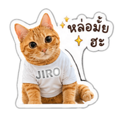 Jaonan06