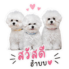 Moji and babies