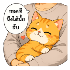 Cat of you