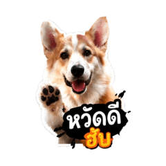 StaffTheCorgi_20260512061359