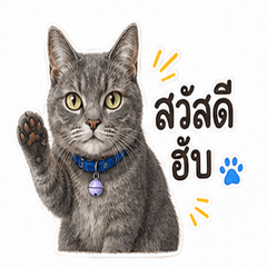 Pluto_Cat