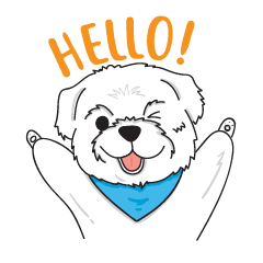 MOMO Cute Dog [English Version1]