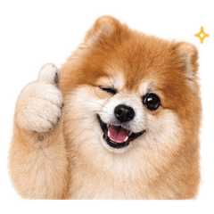 Pompom_Money