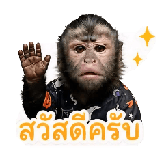 Reetatar_20260512190850