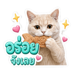 Cheddar Good Boy V.4