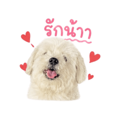 Dirty dog Mumu