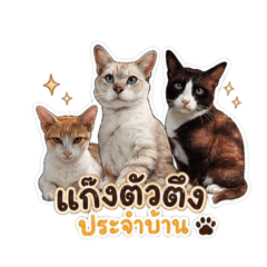 Snobby Cat Gang