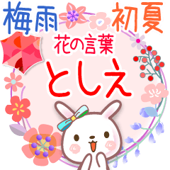 花の言葉◆梅雨&初夏●としえ