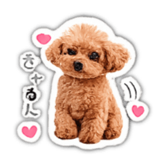 chanbo-0715_20260614193522