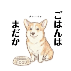 毒舌柯基的真心話（趣味日語）
