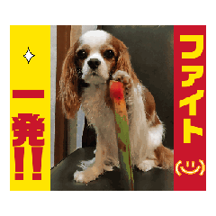 KURU_20260623151232