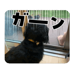ichika_20260623201325