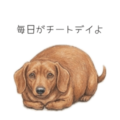 冷靜臘腸狗：認真又搞笑的日語生活